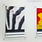 Apple Mounted Art
