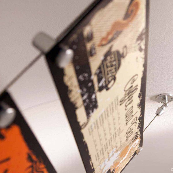 ez-a19-app.jpg Application