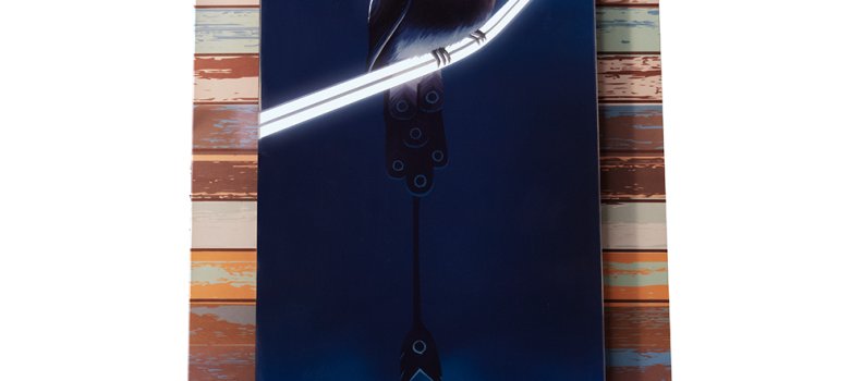 Second surface print on cast acrylic. Highlights on the first surface are laser engraved and illuminated with LED Standoffs.  Solar Sparrow artwork by Traci Cook.